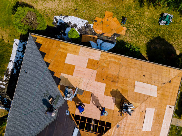 Quick and Trustworthy Emergency Roof Repair Services in Bowling Green, FL